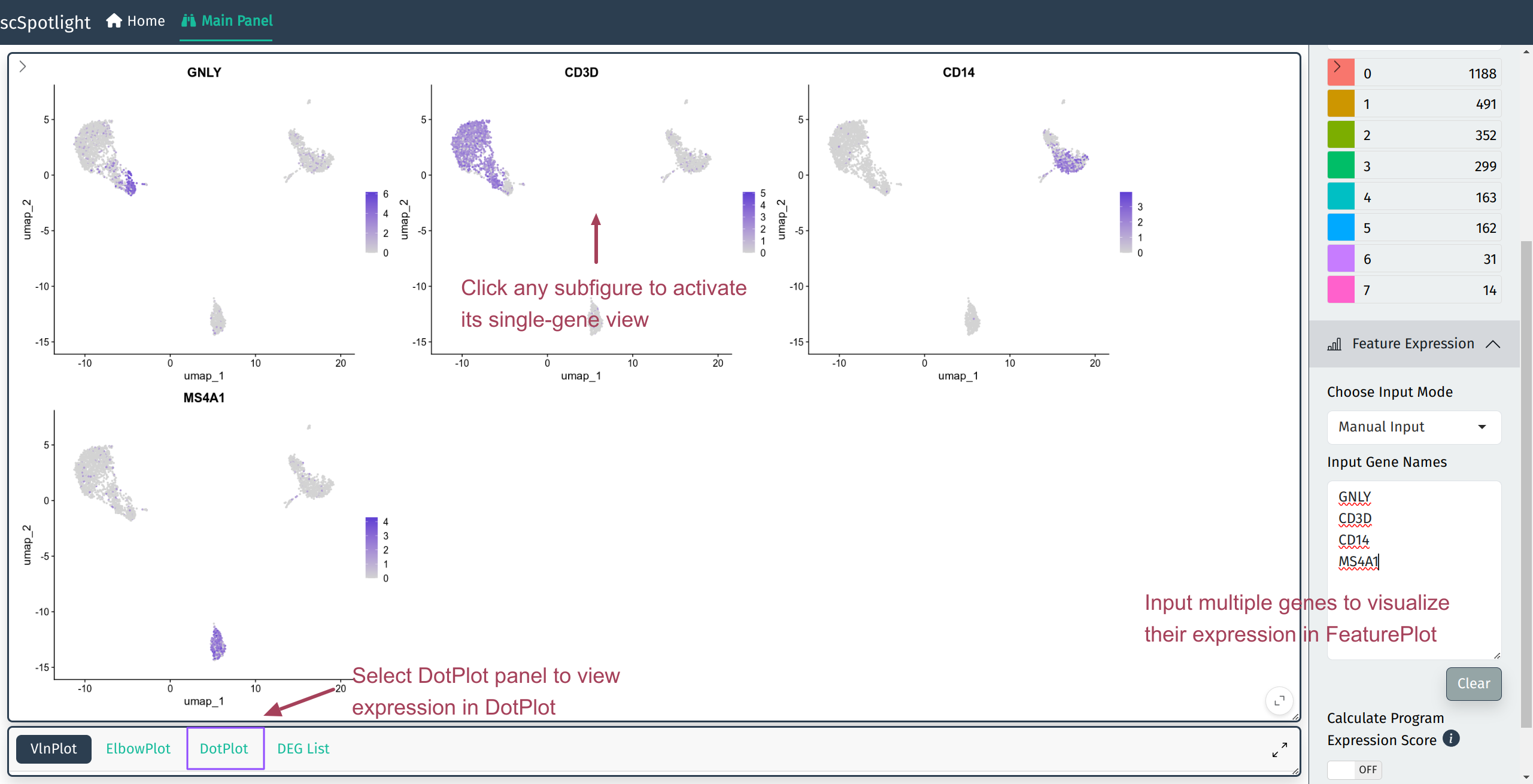 Multiple gene expression